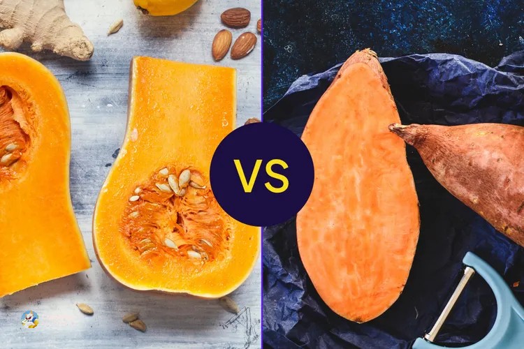 Тиква наспроти сладок компир: Кој е подобар за шеќерот во крвта и исхраната?