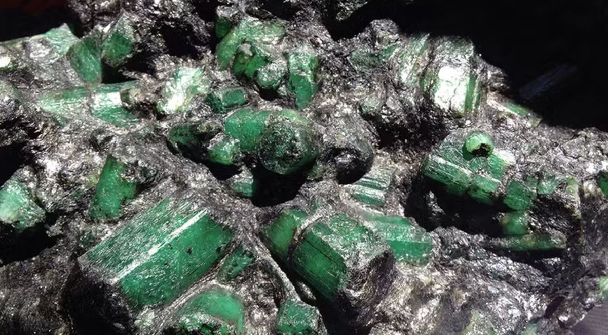 La maniobra y la operación policial