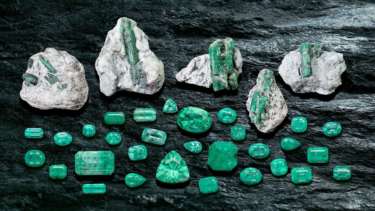 Spezialoperation – der Blick hinter die Kulissen