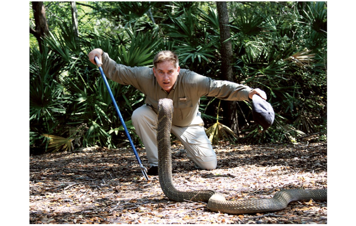 Brady Barr, o herpetólogo que desafiou o impossível