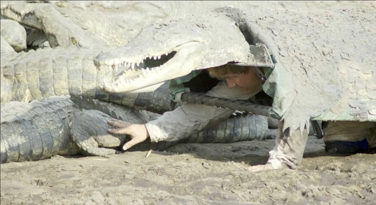 O momento crítica: aproximação entre Barr e os crocodilos