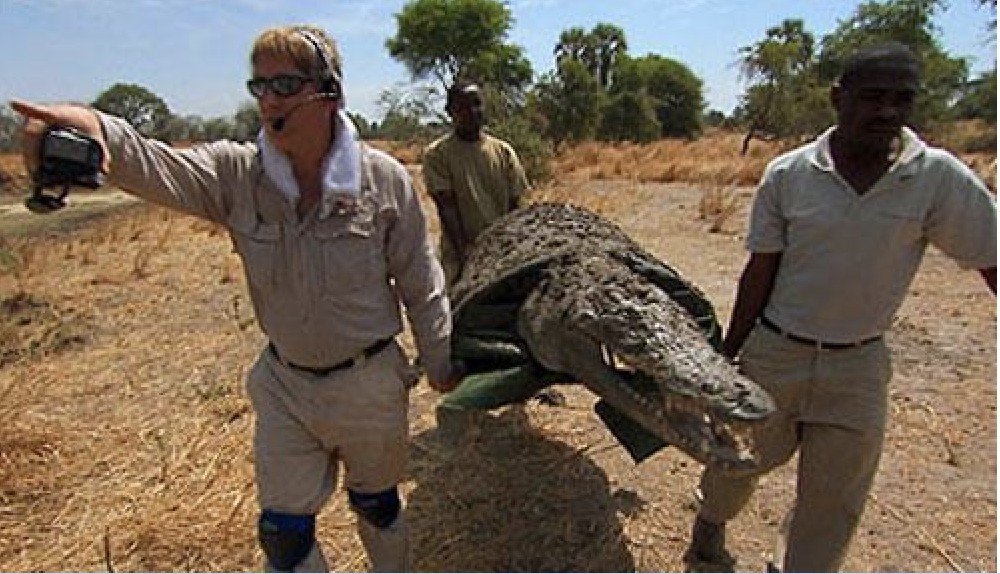 Wyprawa na brzeg Nilu i bezpośrednie spotkanie z nieliskimi krokodylami
