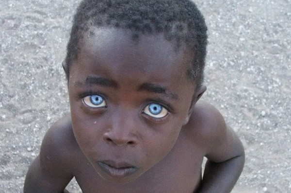 Współżycie oparte na harmonii — codzienne życie obok krokodyli i ideał nieagresji