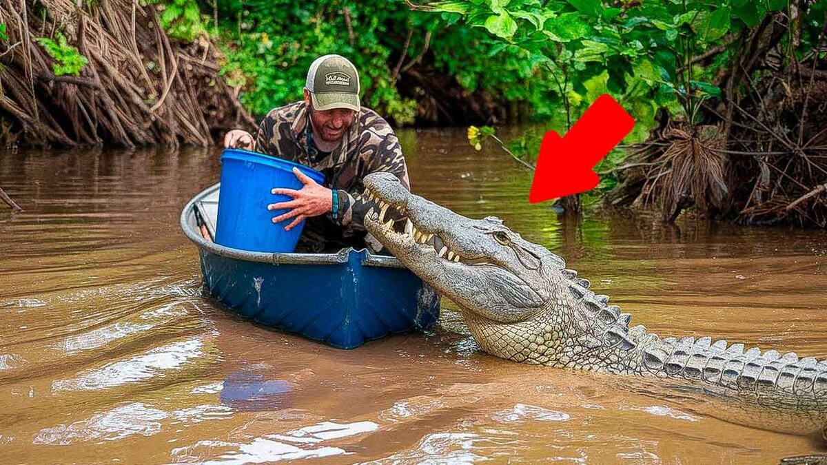 Wie in einem afrikanischen Stamm Krokodile gezähmt wurden – und man ihnen keine Seelen zuschrieb