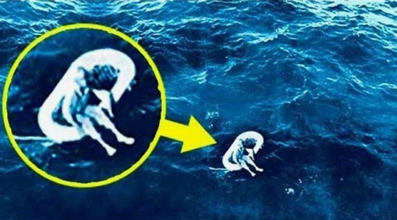 Images of Bazule's Coexistence