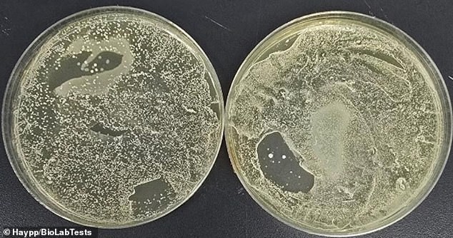 Your vape is 3,000 times dirtier than a toilet seat, study reveals