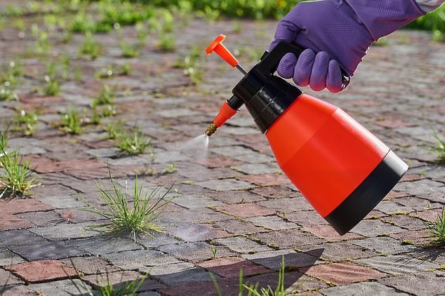 Il dibattito in Australia sul glifosato tra scienza, etichette e regolamentazione