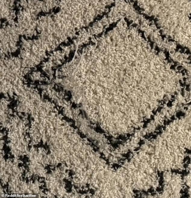 The Brain Health Bonus of Optical Illusions