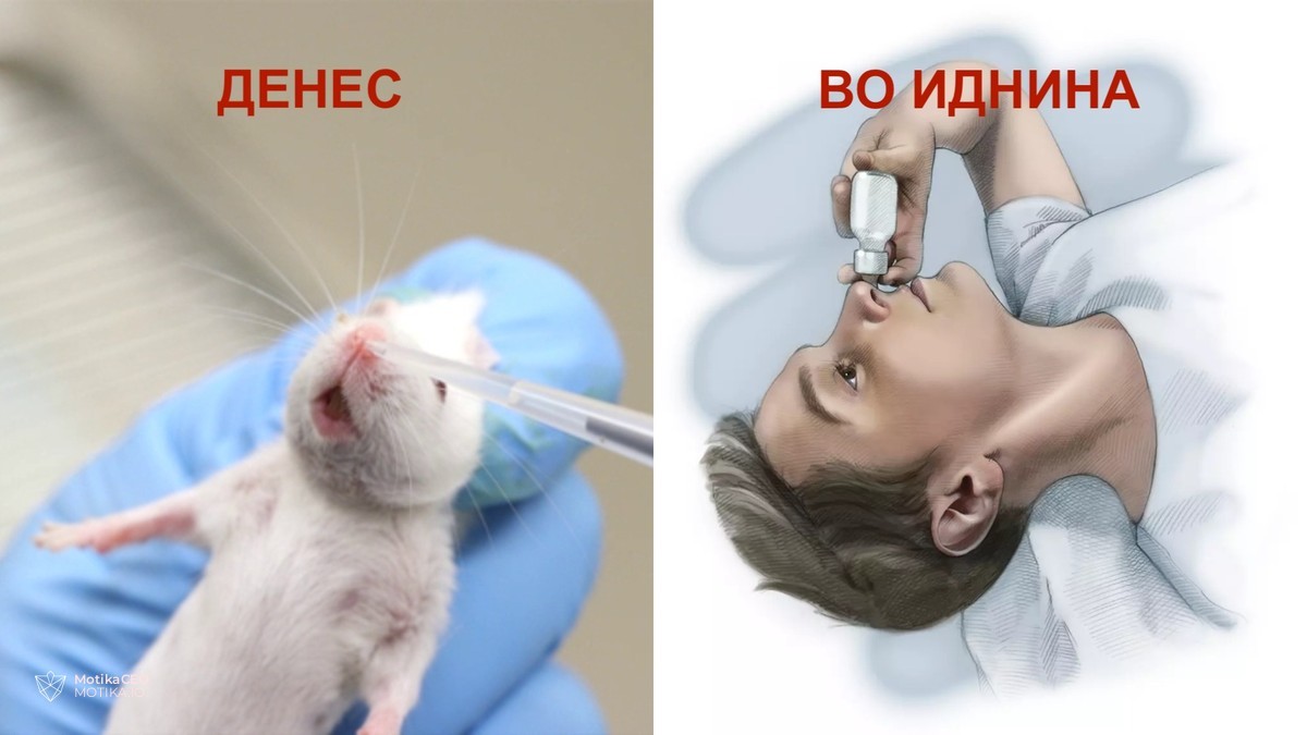 Капки за нос кои влегуваат во мозокот и го будат имунитетот да се бори против најопасната форма на рак на мозокот