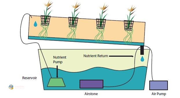 Техниката на хранлив слој – Постојан проток преку V-образен канал спречува венење и обезбедува оптимален раст