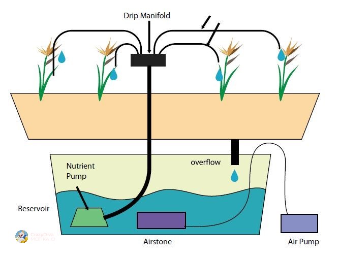 „Капка по капка“ – Прецизно наводнување за секое растение за максимален ефект