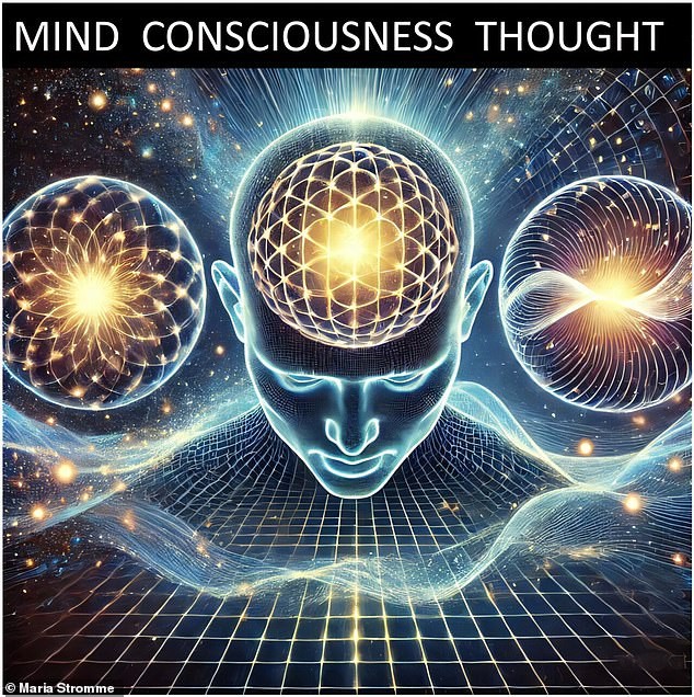 Consciousness Is a Universal Field Not a Brain and It Could Finally Explain Life After Death