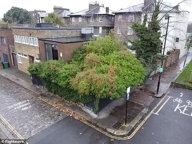Three-bedroom London Mews House Swallowed by Hedge Listed for Nearly £1 Million—Wait Until You See Inside