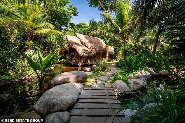 Вила Eywa: Остварен сон за секој љубител на вода со водопад и базен со три нивоа