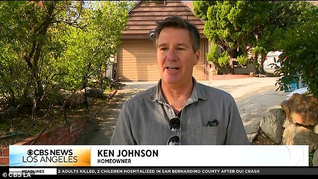 Средба лице в лице: Џонсон замрзна од страв кога мечката ржеше под неговата куќа