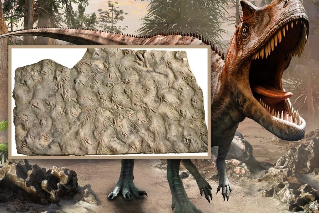 Study results and backstory revealed