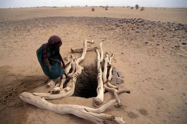 Una tomba semplice ma carica di indizi nel deserto di Bayuda