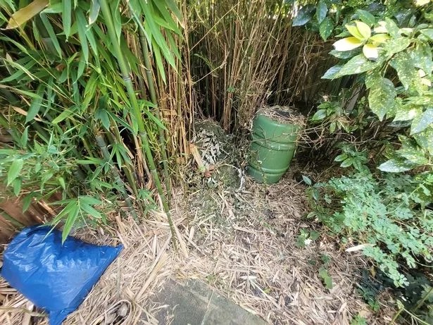 Купил куќа со совршена градина, но за брзо неговиот рај се претворил во ноќна мора што го чинела илјадници евра