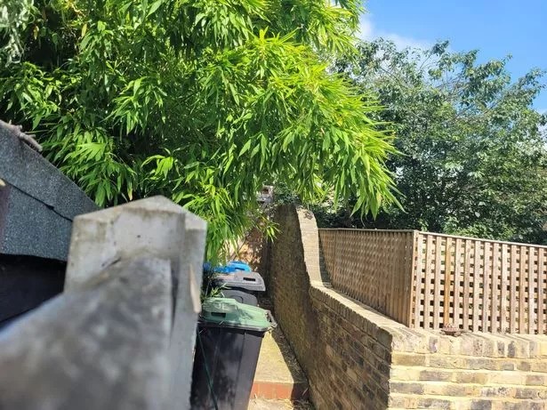 Acheteurs avertis et conseils d’experts