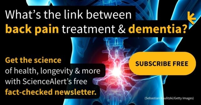 Un régime intermittent de restriction calorique bouleverse le cerveau et l’intestin