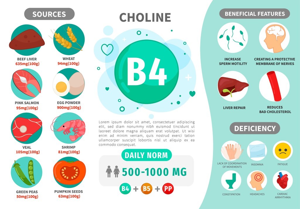 8% lower brain choline found in people with anxiety across 25 studies