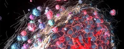 Resultados clave CBD y THC 1 a 1 sinergia y toxicidad selectiva