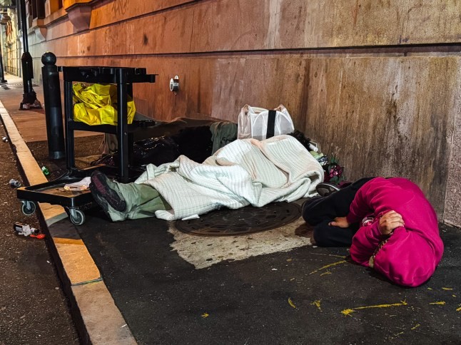 Withdrawal crisis: extreme symptoms and brain risk