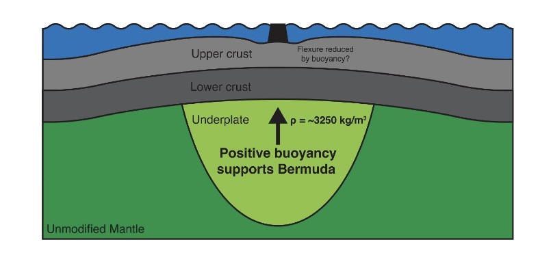 Вертикална слика од сеизмички бранови открива нов вид карпа полесна од околината – уникатна за Бермудите