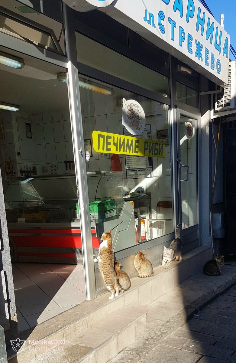 Сите му се радуваат на Свети Никола - За многу години нека е