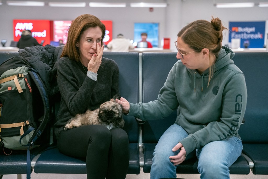 Nuovi dilemmi: etica, benessere animale e il futuro della clonazione