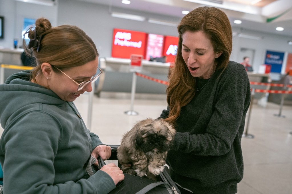 I Spent $50K Cloning My Dead Dog — Here’s What It’s Like Having a Duplicated Pup