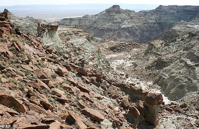 Ludzie przyzwyczają się do obserwacji i brak zgłoszeń