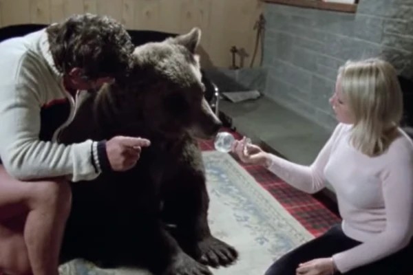 Notas sobre la comunidad y las noticias