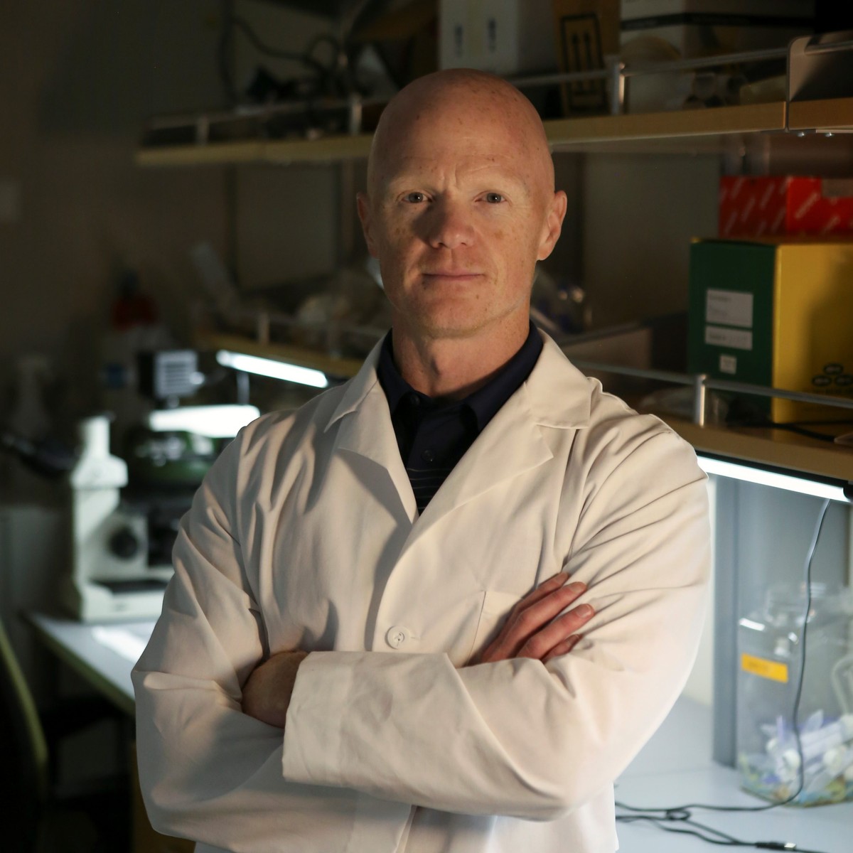 Дебелината не е само вишок килограми — таа е хормонален и воспалителен пожар низ целото тело