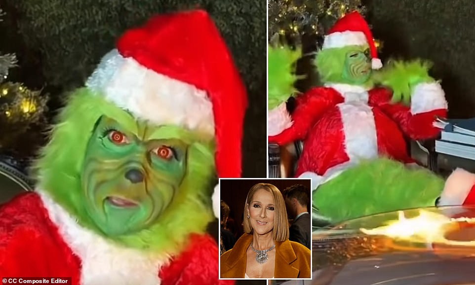 Céline Dion déguisée en Grinch sur Instagram révèle sa lutte contre le syndrome de la personne raide