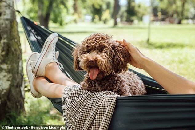 Budget Hack in Practice: Pet and House-Sitting Keep Her Pensions Stretching