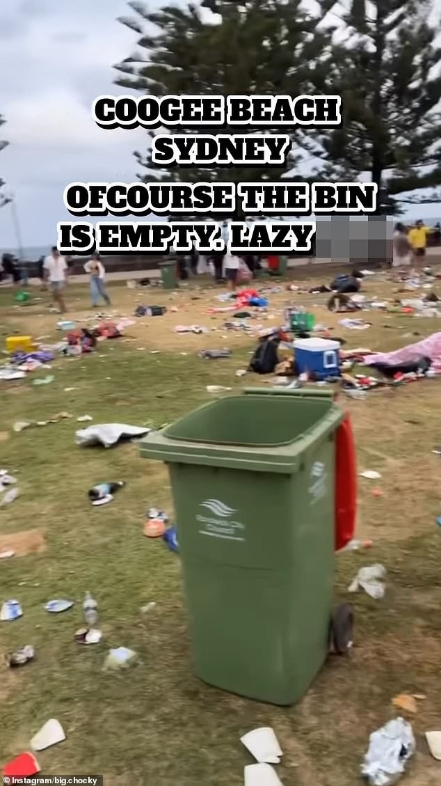 Coogee Beach an Weihnachten – 20 Tonnen Müll, Backpacker-Chaos und eine überraschend einfache Lösung