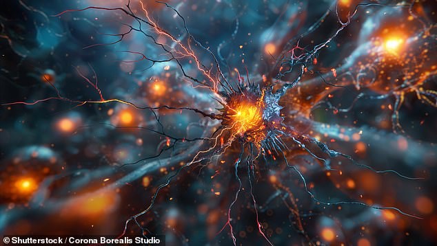 Cinco sentidos? Agora são 33! Cientista afirma que os humanos têm dezenas de sentidos escondidos — descubra como usá-los