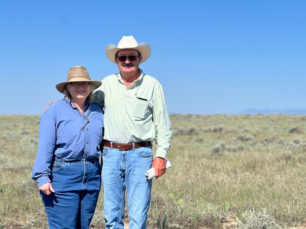 L'effet Yellowstone et la pression des acheteurs forts pour le terrain