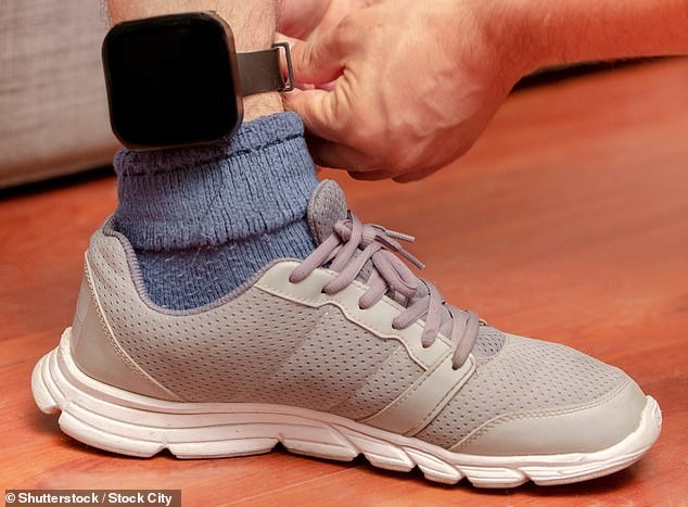 PCC Katy Bourne proposes tagging male asylum seekers at Crowborough as a pilot