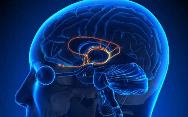 Jurer peut booster la santé, surtout si ce n’est pas une habitude