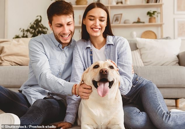 Parejas jóvenes prefieren mascotas a hijos: los perros ya superan a los niños en un tercio de los vecindarios ingleses