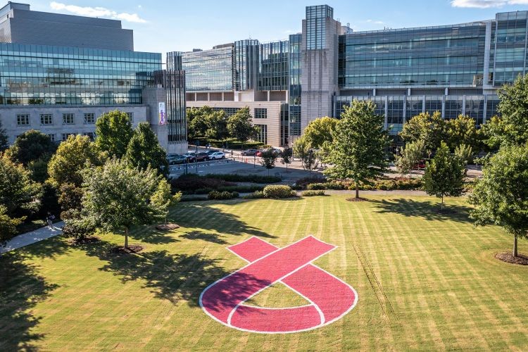 A reavaliação do estudo