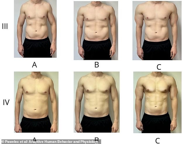 Студијата покажува: Со возраста, жените повеќе ги привлекуваат мажи со полна брада и потенка градба – разликите кулминираат по менопауза