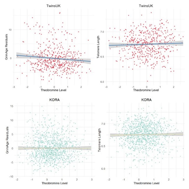 Како функционира истражувањето: анализирани крвни примероци и генетски ознаки за стареење на 1669 испитаници
