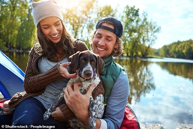 La mappa del cambiamento: 34 per cento delle aree postali ha più cani che bambini e il fenomeno dinkwad tra Gen Z e Millennials