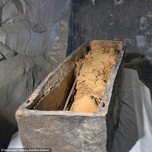 Grasso di lama: una tradizione boliviana per proteggere dalla malattia