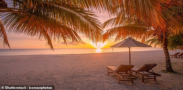 Le vacanze a lungo raggio guidano le spese nel 2026