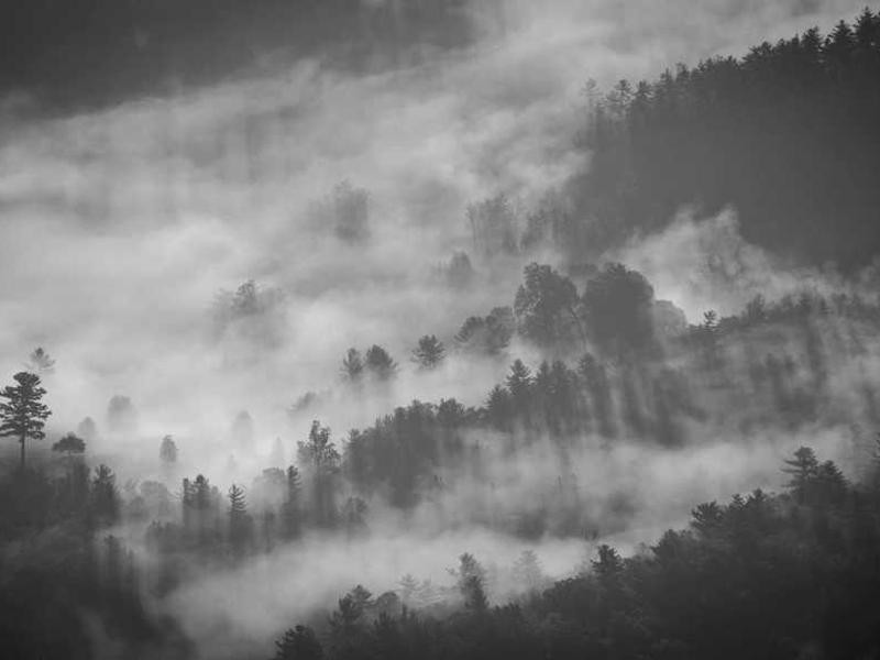 Cadre légal, transparence et réaction politique