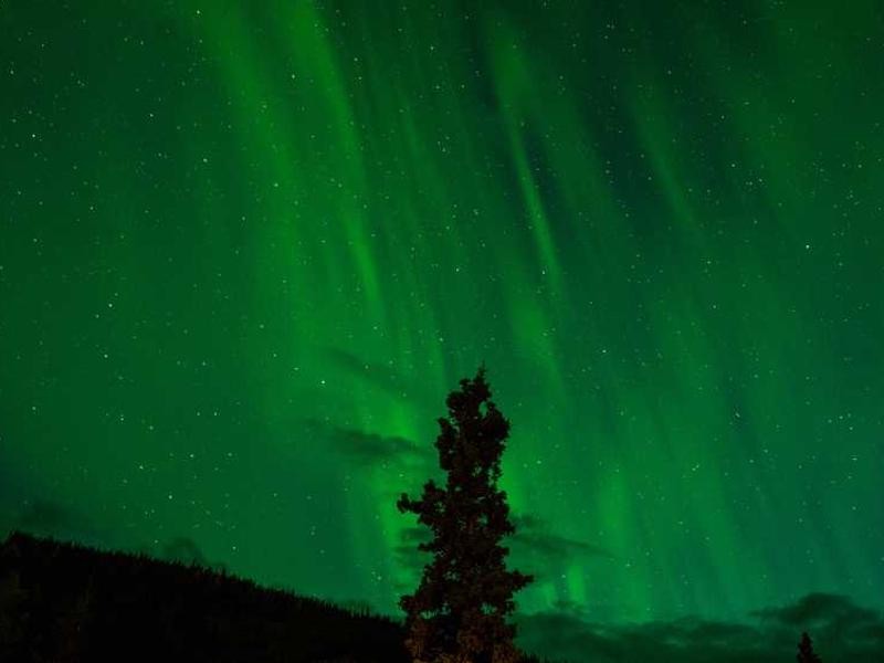 Le coût de la commodité et le pouvoir des données